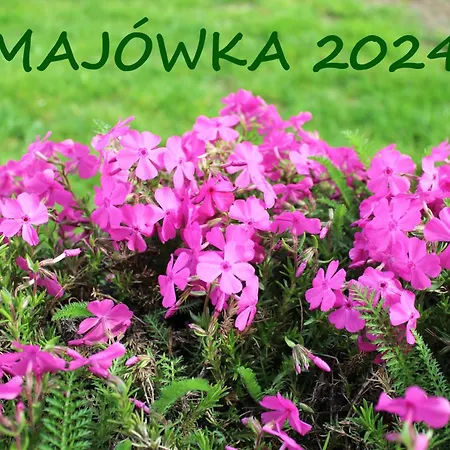 Sucha 309 Apartamento *